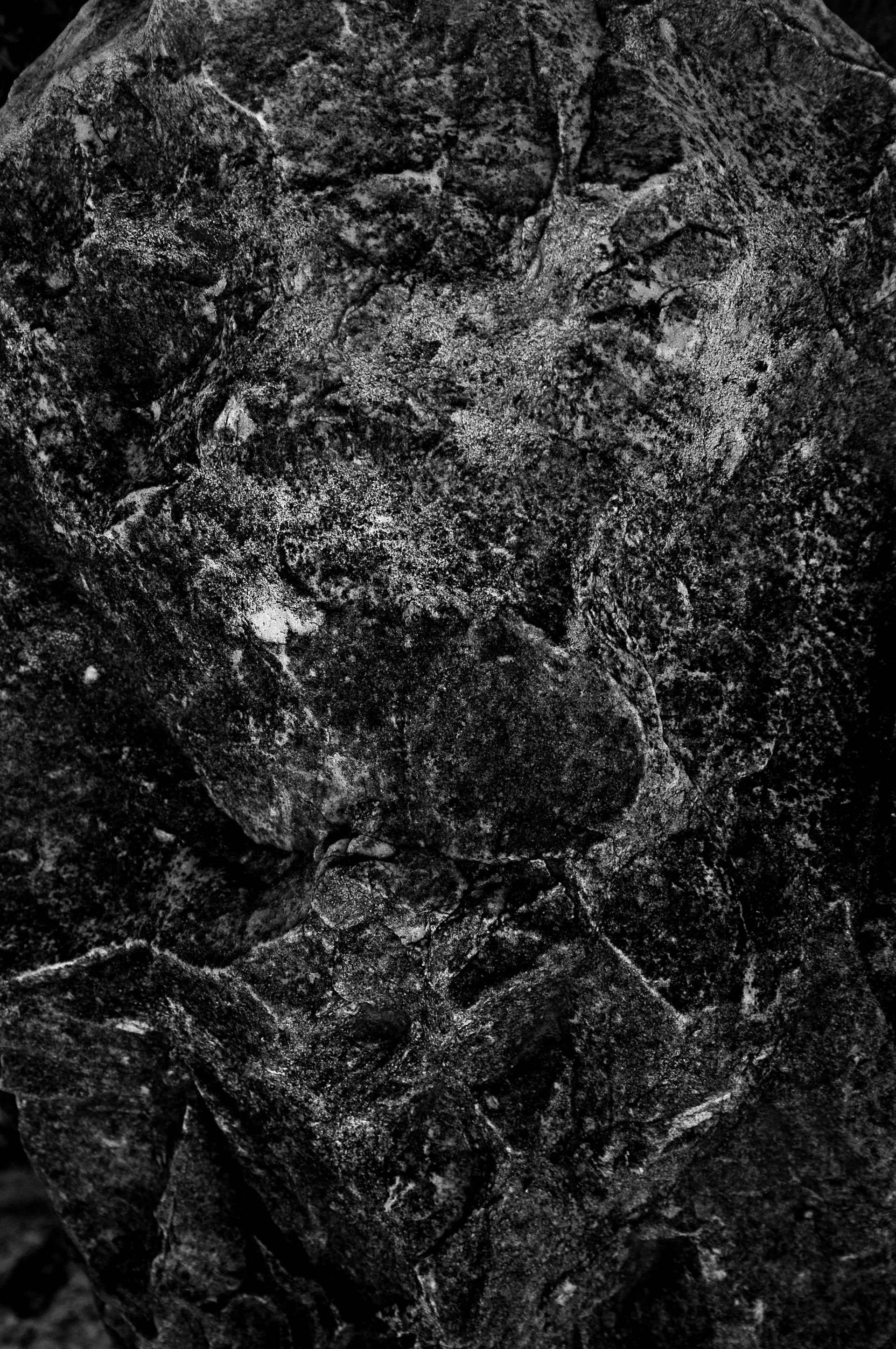Texture éditoriale Poivre & Sel